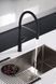 IMEX SENA BLACK MATT Змішувач для кухні, чорний матовий GCE022/NG GCE022/NG фото 2
