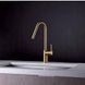 IMEX KENIA PVD BRUSHED GOLD Змішувач для кухні, PVD матове золото GCE020/OC фото 2