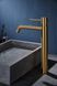 IMEX MONZA BRUSHED GOLD Змішувач для умивальника високий, PVD матове золото BDM039-3OC фото 2