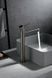 IMEX LINE BRUSHED NICKEL Змішувач для умивальника високий, матовий нікель BDD038-3NQ  фото 2