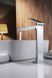 IMEX FIJI CHROME Змішувач для умивальника високий, хром BDF016-3 фото 2
