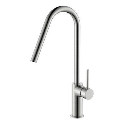 IMEX KENIA BRUSHED NICKEL Змішувач для кухні, нікель матовий GCE020/NQ GCE020/NQ фото