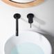 IMEX GENOVA BLACK MATT Змішувач для умивальника зі стіни, чорний матовий GLG053/NG GLG053/NG фото 2